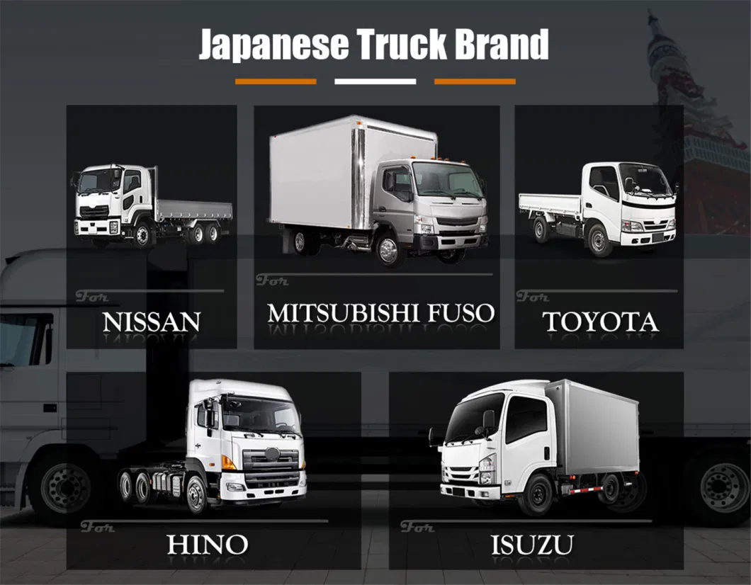Truck Spare Body Parts for Mitsubishi Fuso, Canter